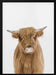 Baby Cow Framed Art Kathrin Pienaar | Home or Office Art
