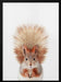 Baby Squirel Framed Art Kathrin Pienaar | Home or Office Art