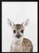 Baby Deer Framed Art Kathrin Pienaar | Home or Office Art