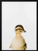 Baby Duck Framed Art Kathrin Pienaar | Home or Office Art