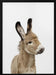 Baby Donkey Framed Art Kathrin Pienaar | Home or Office Art