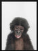 Baby Monkey Framed Art Kathrin Pienaar | Home or Office Art