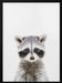 Baby Racoon Framed Art Kathrin Pienaar | Home or Office Art