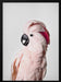 Pink Cockatoo Framed Art Kathrin Pienaar | Home or Office Art