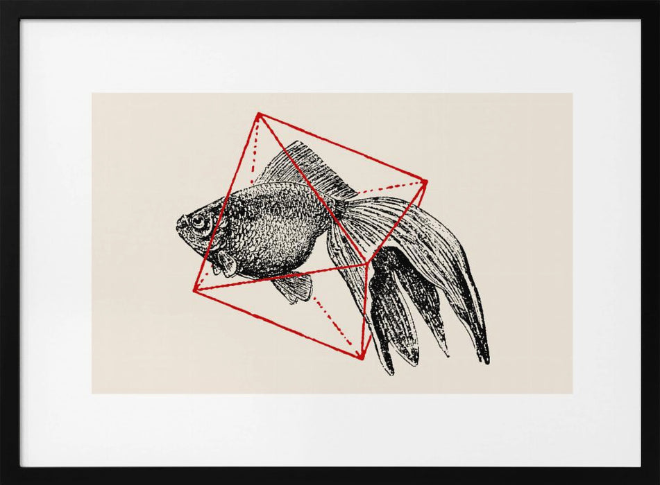 Fish In Geometrics Nº3 - Florent Bodart Framed Art | Home or Office Art