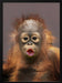 kisses Framed Art Prabu Dennaga | Home or Office Art