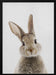 Peekaboo Bunny Framed Art Lola Peacock | Home or Office Art