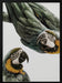 Amazonia Framed Art Shot by Clint | Home or Office Art
