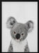 Peekaboo Baby Koala Framed Art Lola Peacock | Home or Office Art