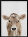 Peekaboo Baby Cow Framed Art Lola Peacock | Home or Office Art