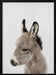 Peekaboo Baby Donkey Framed Art Lola Peacock | Home or Office Art