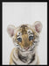 Peekaboo Baby Tiger Framed Art Lola Peacock | Home or Office Art