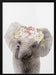 Floral Baby Elephant Framed Art Lola Peacock | Home or Office Art