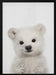 Peekaboo Baby Polar Bear Framed Art Lola Peacock | Home or Office Art