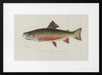 Male Brook Trout - Sherman F. Denton Framed Art | Home or Office Art