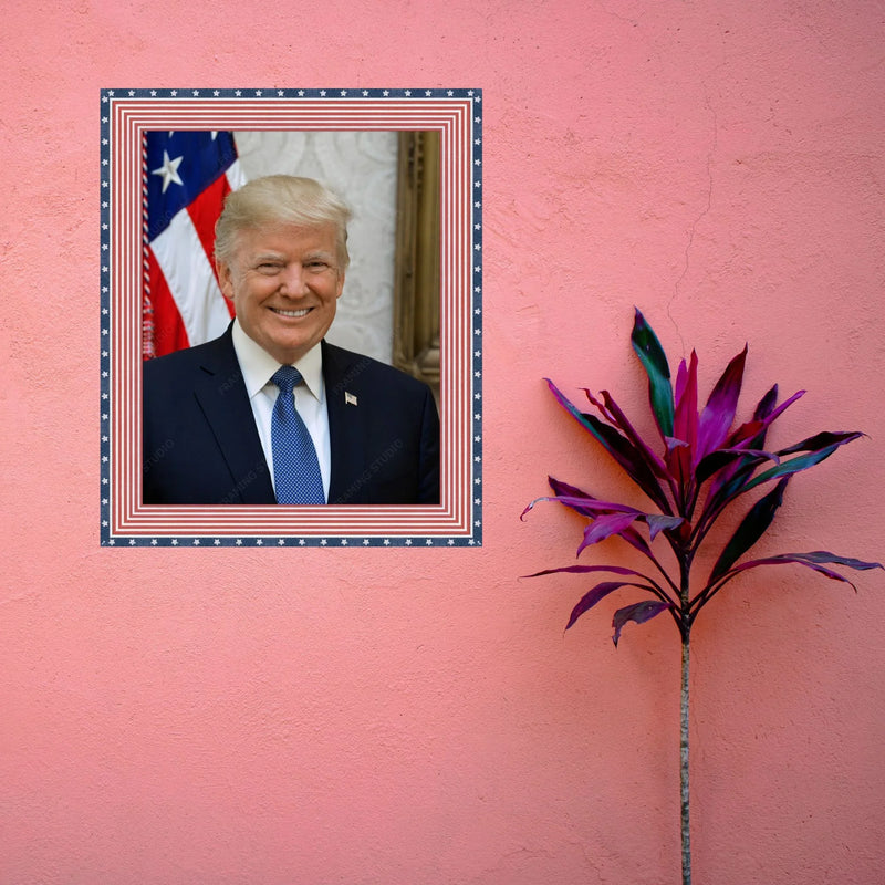 Donal Trump Red White and Blue Picture Frame Wall Hanging MADE IN USA  shopmodernmemory.com 