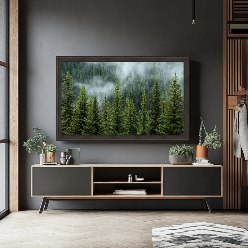 55 Inch TV Picture Frame - Decorative Custom frame for 55 inch TV  Modern Memory Design 
