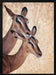 Do not worry, I'm here Framed Art Mathilde Guillemot | Home or Office Art