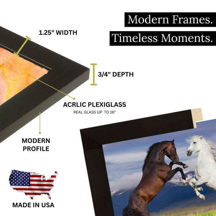 a picture of a horse and a picture of another horse