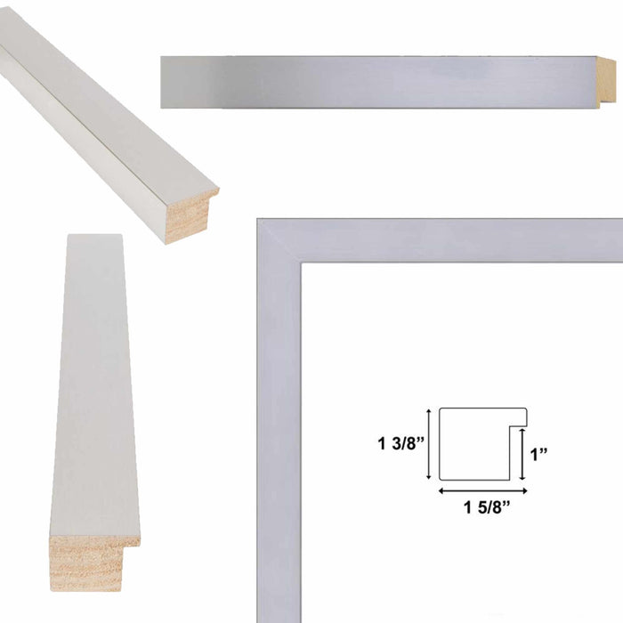 32x48 Frame Modern Contemporary Stainless Steel Iron Picture Frame