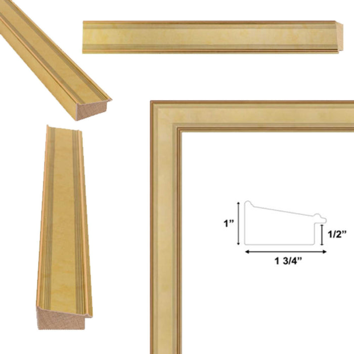 32x48 Frame Modern Contemporary Champagne Gold Flat Picture Frame
