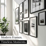 a collection of framed photographs displayed on a wall, with a potted plant in the foreground.