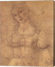 Drawing of a Woman by Sandro Botticelli