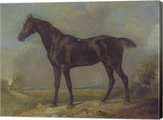 Golding Constable's Black Riding-Horse by John Constable