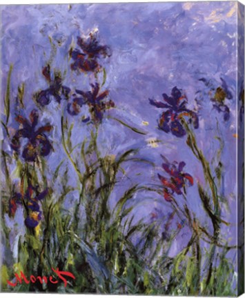 Iris by Claude Monet
