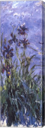 Irises by Claude Monet