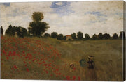 Poppies by Claude Monet