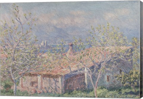 Gardener's House at Antibes, 1888 by Claude Monet