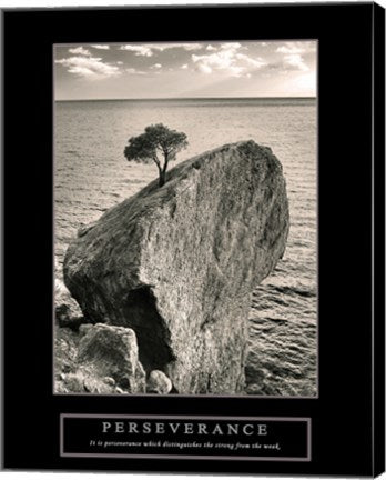 Perseverance - Lone Pinyon Tree