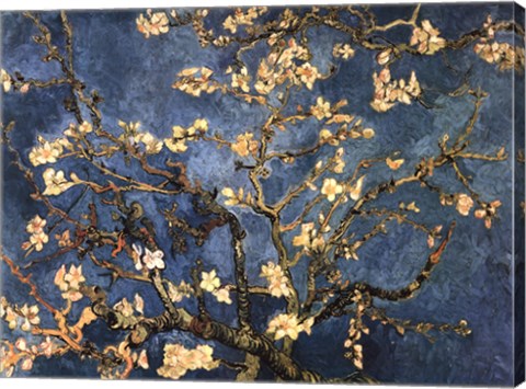Blossoming Almond Tree, Saint-Remy, c.1890 by Vincent Van Gogh