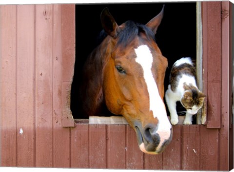 Best friends