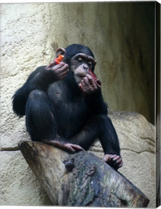 Orangutan - Burlap Hat