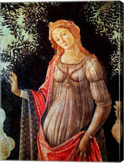 Primavera, detail of Venus, c.1478 by Sandro Botticelli
