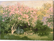 Lilac in the Sun, 1873 by Claude Monet