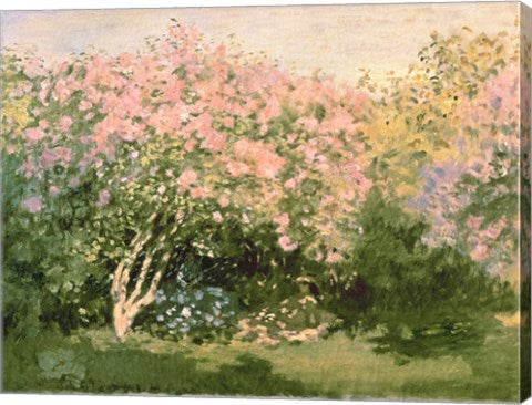 Lilac in the Sun, 1873 by Claude Monet