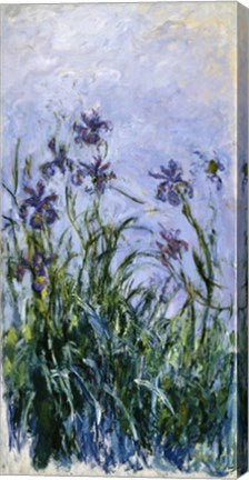 Purple Irises, 1914-17 by Claude Monet