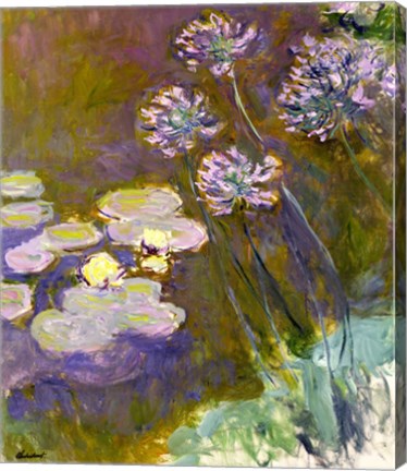 Waterlilies and Agapanthus, 1914-17 by Claude Monet
