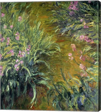 Iris (green) by Claude Monet