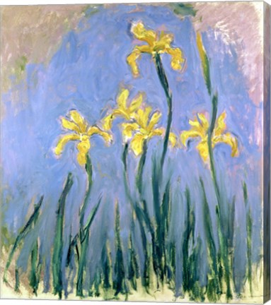 The Yellow Irises, c.1918-25 by Claude Monet
