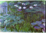 Waterlilies, 1914-17 by Claude Monet