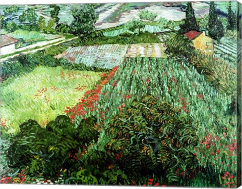Field with Poppies, 1889 by Vincent Van Gogh