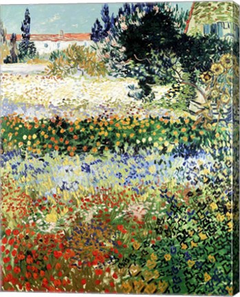 Garden in Bloom, Arles, 1888 by Vincent Van Gogh