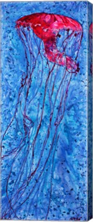 Jellyfish by Natalie Talocci