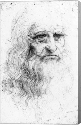 Self portrait - Sketch by Leonardo Da Vinci