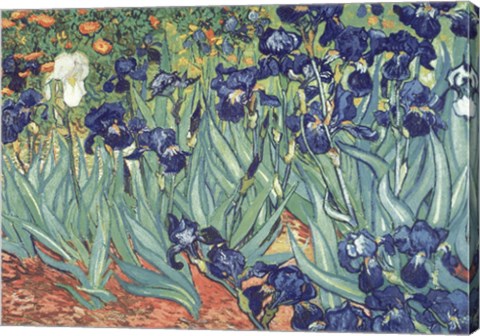 Irises in the Garden by Vincent Van Gogh