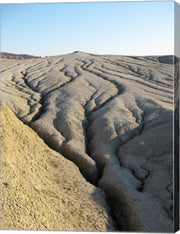 Cracked Earth Surface